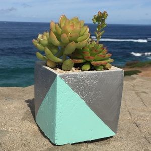 Handcrafted Planters